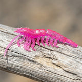 Realistic 4 1/4\" Rattling UV Plastic Shrimp in Atomic Pink on coastal driftwood
